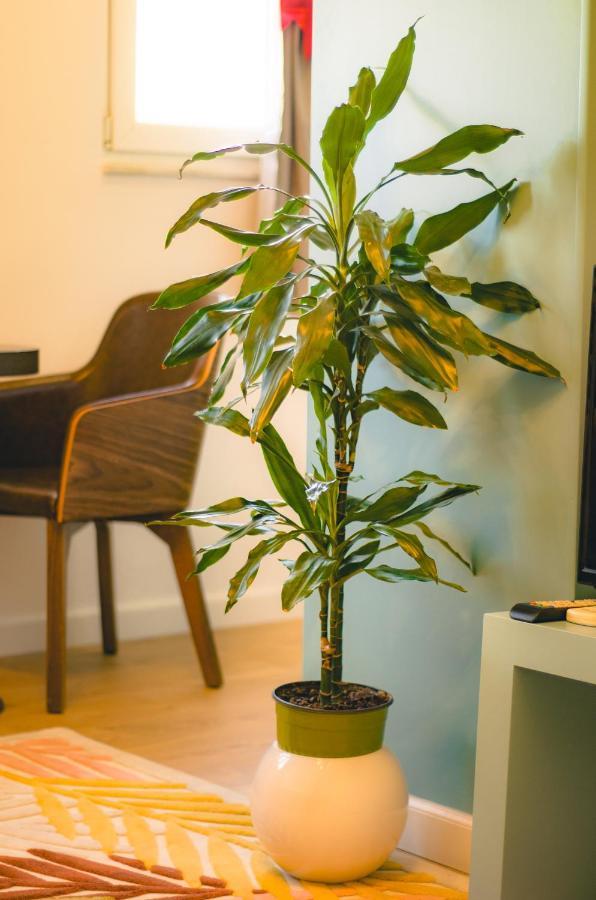Bright Apartment Close To City Center Тирана Екстер'єр фото